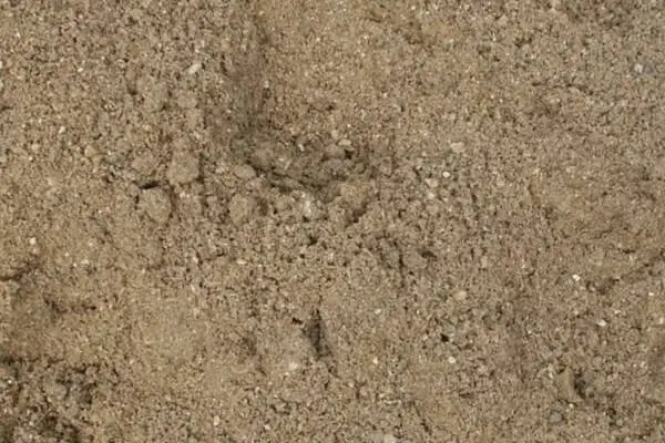 Marine Sand